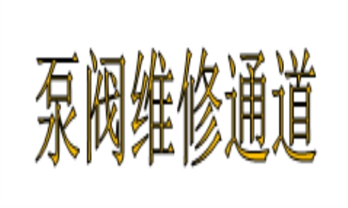 泵/阀维修案例